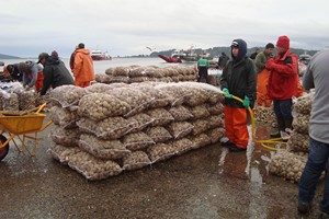 quellon jul 28 (29) (Copiar)