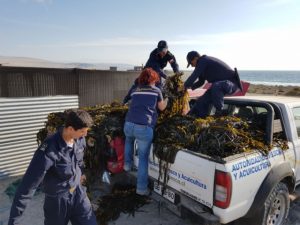 IMG-20180111-WA0067 [640x480]