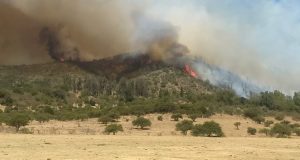 dx3wld0wsaazskr-750x400