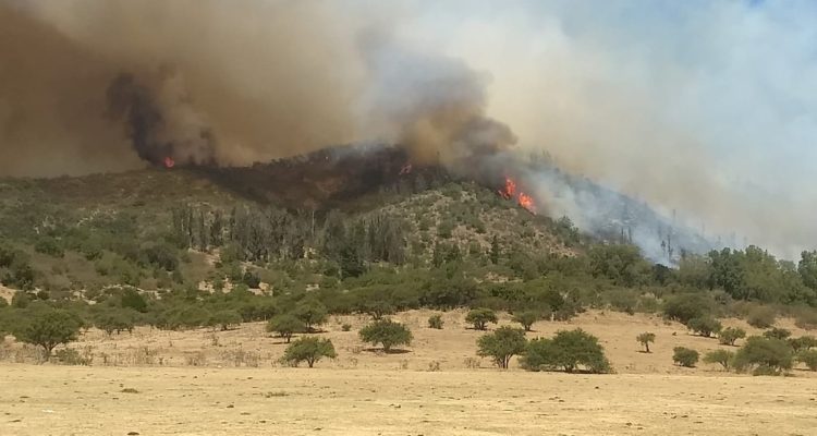 dx3wld0wsaazskr-750x400