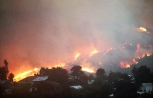 51335618_2174632259267371_6109003684731944960_n