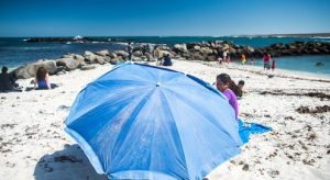 dsc_7374.jpg__495x270_q85_crop_subsampling-2