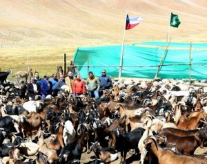 20190321_175438-e1553350874799