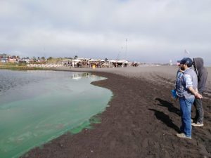 52598033_2128723130540348_5009911761160110080_o