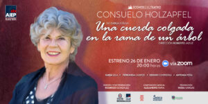 iconos-consueloholzapfel-tw