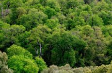 NOTA-FINANZAS-VERDES