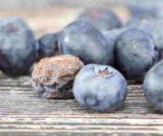 NOTA-ENVASES-ACTIVIDAD-2-compressed