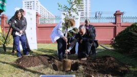 09-07-2024-RM-Arborizacion (1)