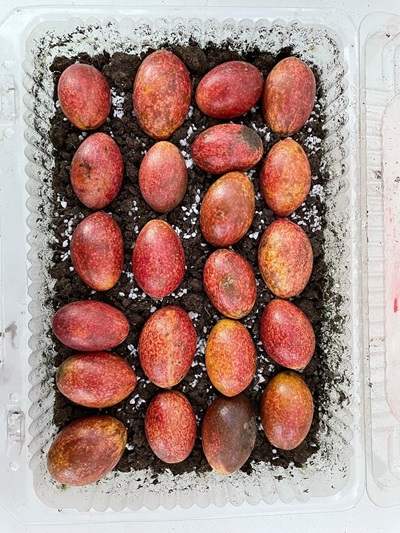 WhatsApp-Image-2025-07-18-at-2-compressed