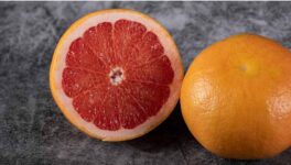 Captura de pantalla 2026-02-24 002557-compressed