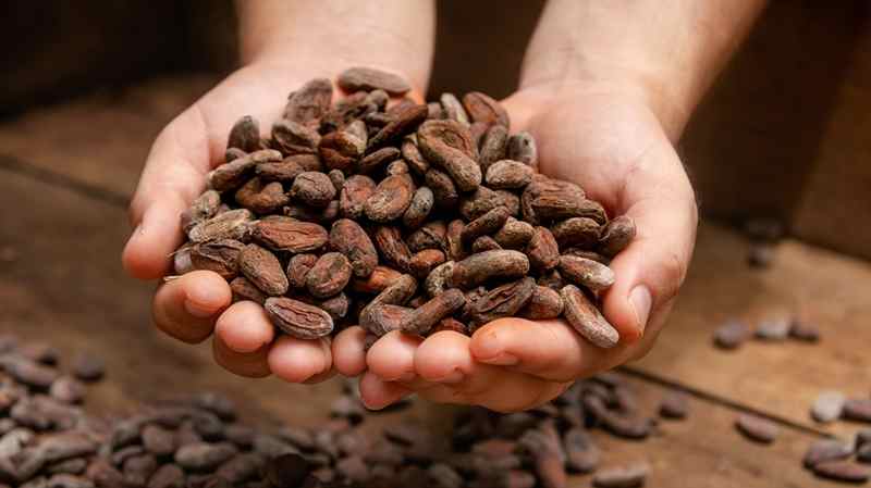 Tirimbina Sarapiquí semilla cacao -compressed